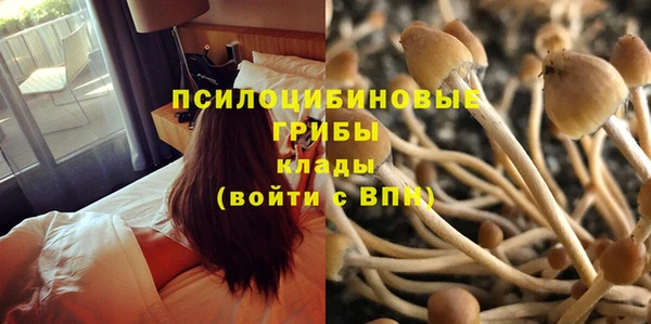 стафф Алзамай