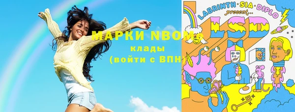 стафф Алзамай