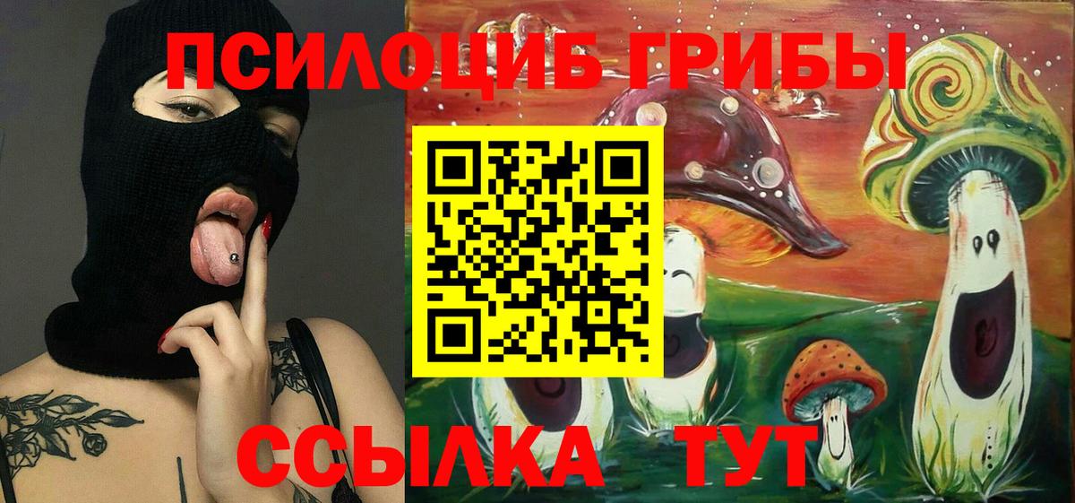 Тобольск  Псилоцибиновые грибы MAGIC MUSHROOMS  Вход с VPN 