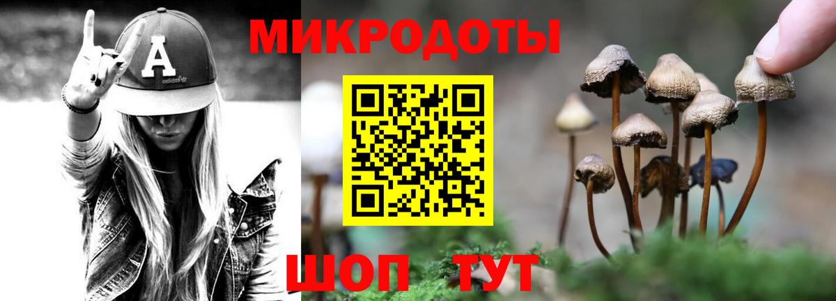 Псилоцибиновые грибы прущие грибы Тобольск